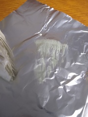 Chlorophyllum molybdites