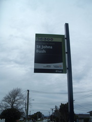 Asplenium appendiculatum maritimum