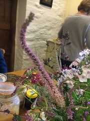 Veronicastrum