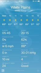 Lithobates catesbeianus