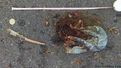 Ctenosaura similis similis