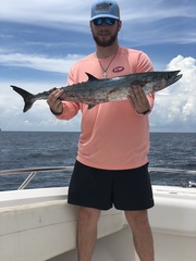 Scomberomorus cavalla