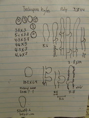 Trechispora mollusca