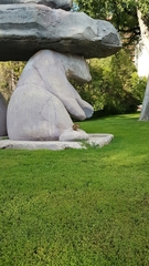 Tamiasciurus hudsonicus