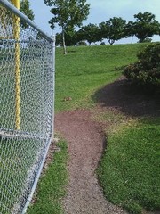 Sylvilagus audubonii