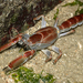 Scorpion Mud Lobster - Photo (c) Ria Tan, some rights reserved (CC BY-NC-SA)