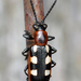 Common Asparagus Beetle - Photo (c) Ryan Hodnett, some rights reserved (CC BY-SA)
