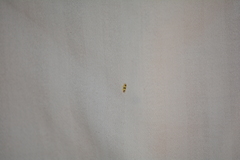 Empoa