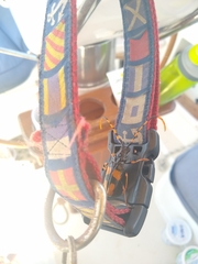 Dendrobias mandibularis