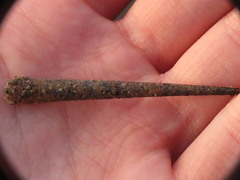 Pectinariidae