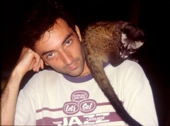 Paradoxurus musangus