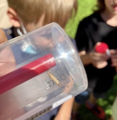 Agriphila straminella