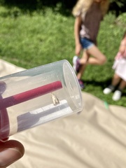 Agriphila straminella