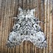 Laugher Moth - Photo (c) joannerusso, some rights reserved (CC BY-NC), uploaded by joannerusso