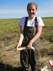 Lepisosteus platostomus