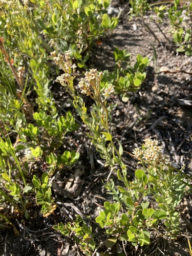 Fourth Creek Trail