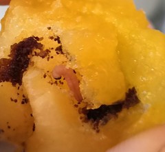 Grapholita funebrana