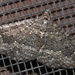 Funeral Moth - Photo (c) David Mules, some rights reserved (CC BY-NC), uploaded by David Mules