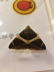 Buzara