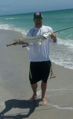 Centropomus undecimalis