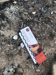 Chordeiles acutipennis