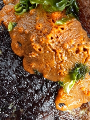 Hymeniacidon perlevis