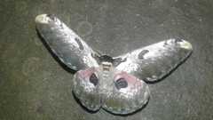 Saturnia zuleika
