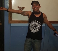 Rothschildia triloba