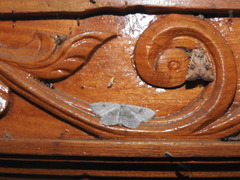 Somatina omicraria