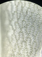 Sphagnum subsecundum