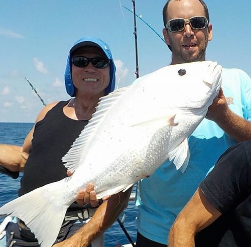 Northern Red Snapper
