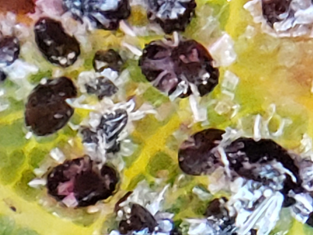 Aleuroplatus gelatinosus