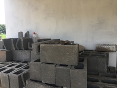 Ctenosaura macrolopha