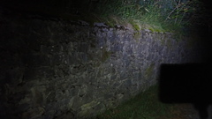 Euscorpius niciensis