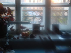 Amanita muscaria muscaria