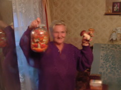 Amanita muscaria muscaria