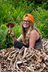 Volvariella volvacea