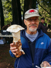 Amanita smithiana