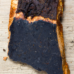 Tinctoporellus epimiltinus