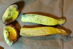 Baorangia