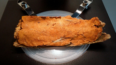 Asterodon ferruginosus