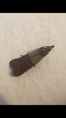 Plodia interpunctella