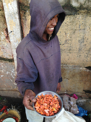 Cantharellus variabilicolor