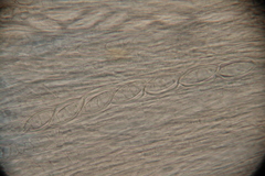 Wynnea americana