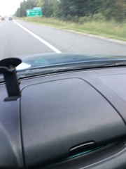 Chrysemys picta marginata