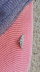 Lepidoptera
