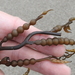 Chain Bladder Kelp - Photo (c) Sam Kieschnick, some rights reserved (CC BY), uploaded by Sam Kieschnick