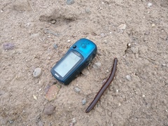 Orthoporus
