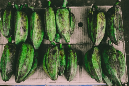 Plantain