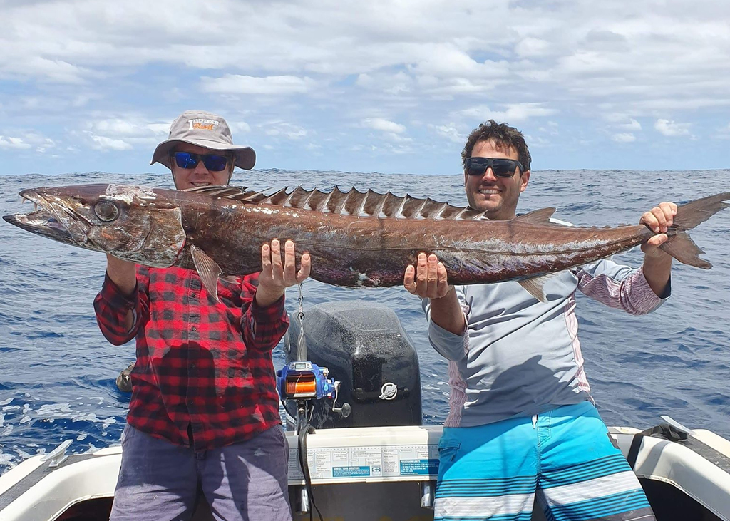 Black snoek (Thyrsitoides marleyi) — Gempylidae